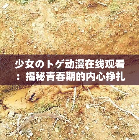 少女のトゲ动漫在线观看：揭秘青春期的内心挣扎与成长故事