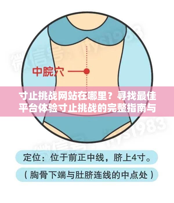 寸止挑战网站在哪里？寻找最佳平台体验寸止挑战的完整指南与推荐