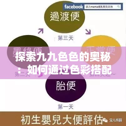 探索九九色色的奥秘：如何通过色彩搭配提升生活品质与视觉体验？