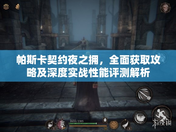 帕斯卡契约夜之拥，全面获取攻略及深度实战性能评测解析