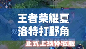 王者荣耀夏洛特打野角色深度出装与实战玩法全面解析