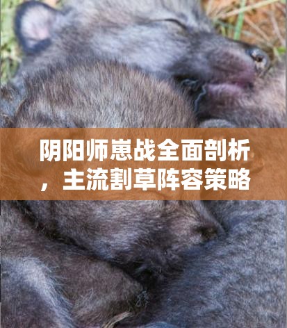 阴阳师崽战全面剖析，主流割草阵容策略详解，助你高效提升段位