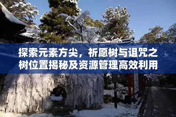 探索元素方尖，祈愿树与诅咒之树位置揭秘及资源管理高效利用防浪费策略