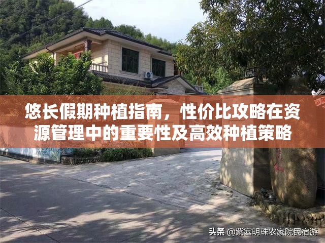 悠长假期种植指南，性价比攻略在资源管理中的重要性及高效种植策略