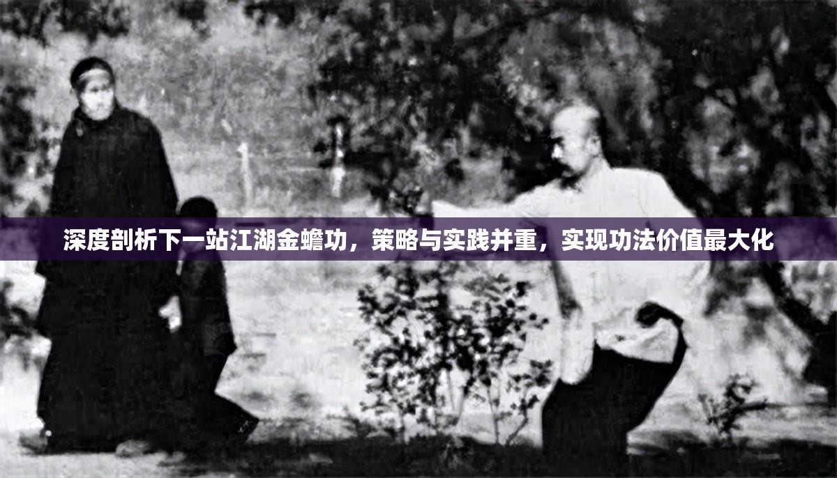 深度剖析下一站江湖金蟾功，策略与实践并重，实现功法价值最大化