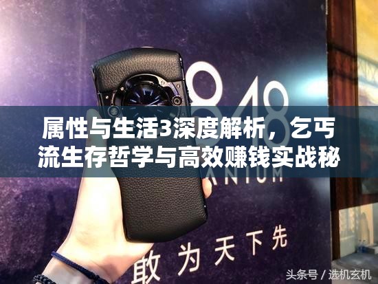 属性与生活3深度解析，乞丐流生存哲学与高效赚钱实战秘籍