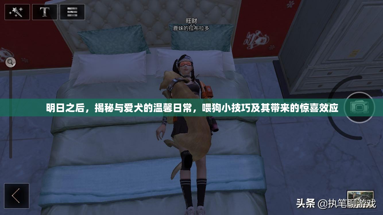明日之后，揭秘与爱犬的温馨日常，喂狗小技巧及其带来的惊喜效应