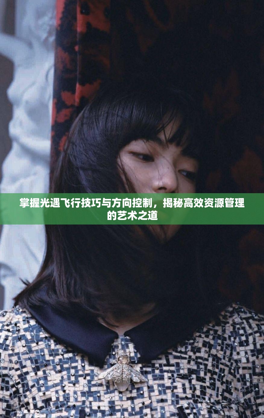 掌握光遇飞行技巧与方向控制，揭秘高效资源管理的艺术之道