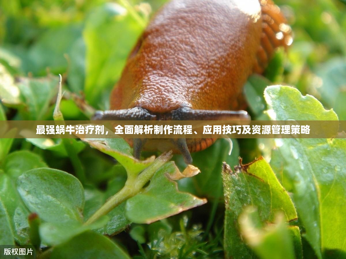 最强蜗牛治疗剂，全面解析制作流程、应用技巧及资源管理策略