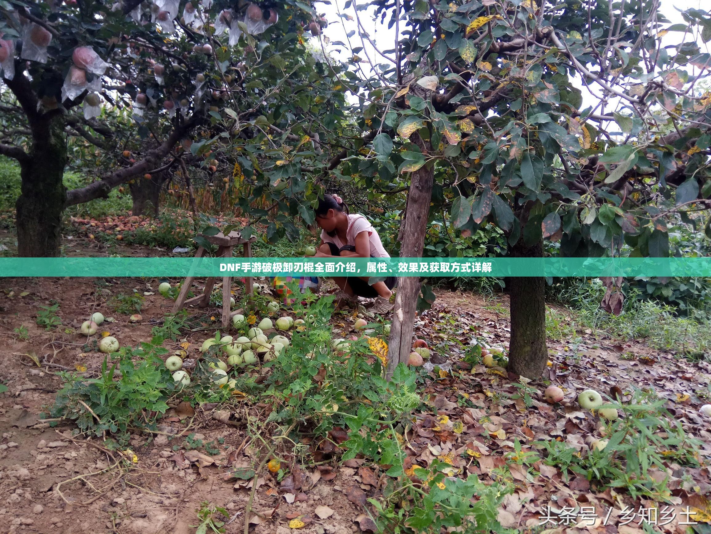 DNF手游破极卸刃棍全面介绍，属性、效果及获取方式详解