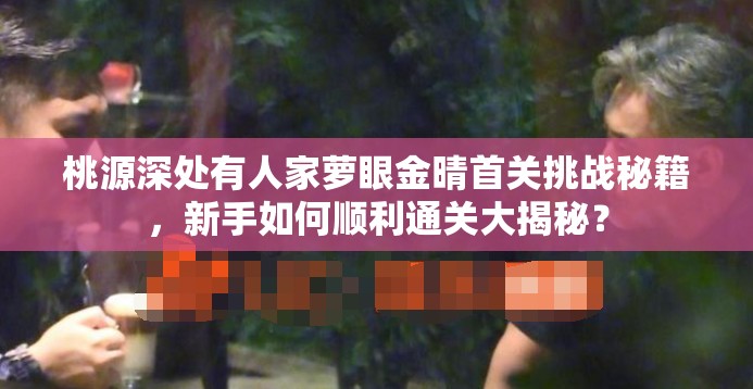 桃源深处有人家萝眼金晴首关挑战秘籍，新手如何顺利通关大揭秘？