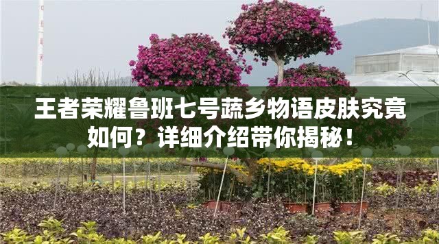 王者荣耀鲁班七号蔬乡物语皮肤究竟如何？详细介绍带你揭秘！