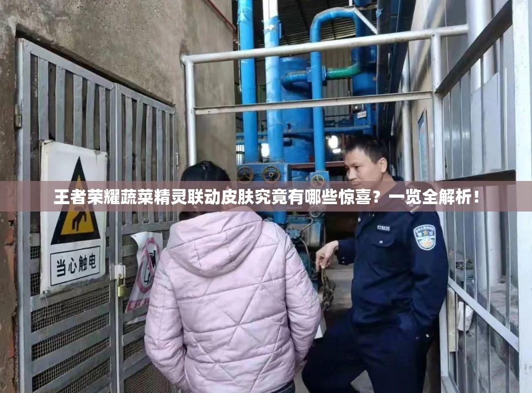 王者荣耀蔬菜精灵联动皮肤究竟有哪些惊喜？一览全解析！