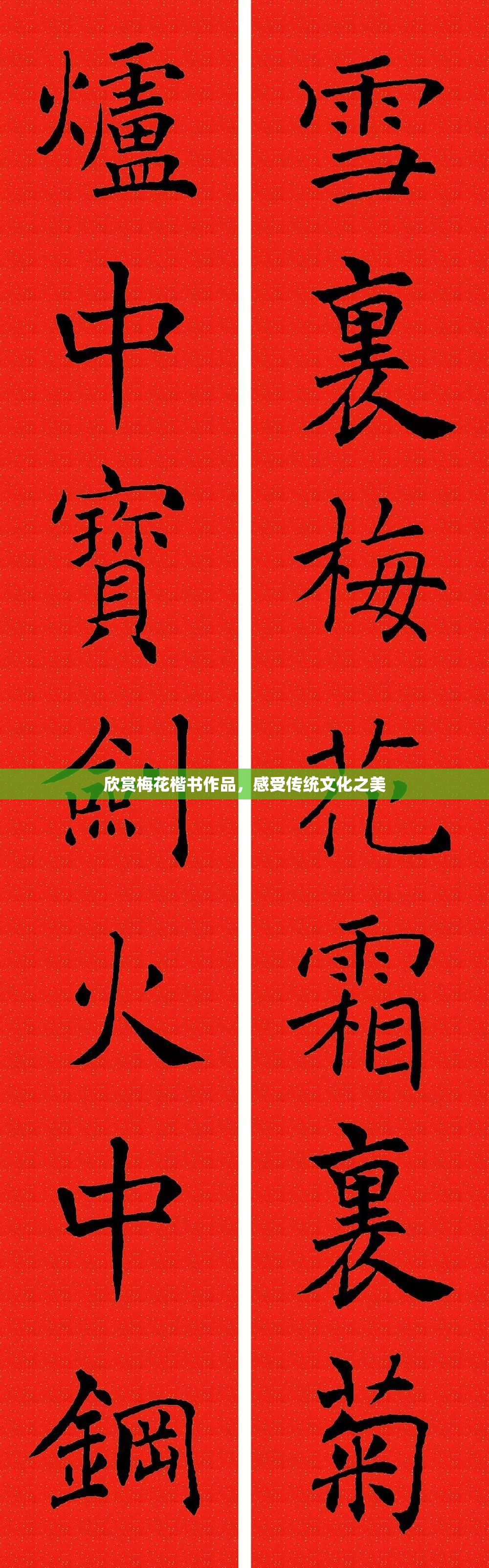 欣赏梅花楷书作品，感受传统文化之美