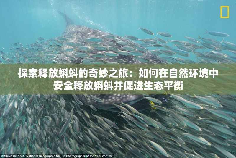 探索释放蝌蚪的奇妙之旅：如何在自然环境中安全释放蝌蚪并促进生态平衡