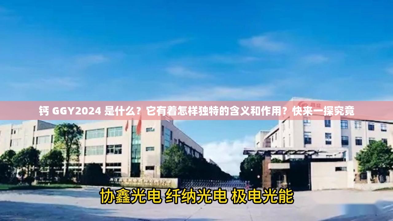 钙 GGY2024 是什么？它有着怎样独特的含义和作用？快来一探究竟