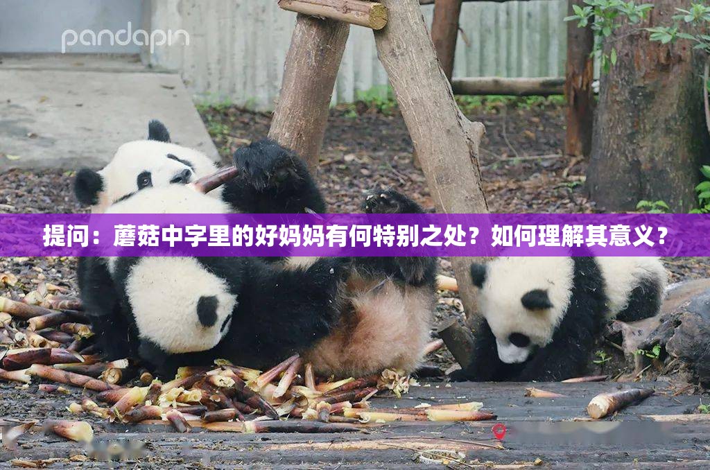 提问：蘑菇中字里的好妈妈有何特别之处？如何理解其意义？