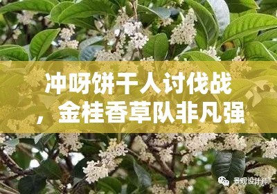 冲呀饼干人讨伐战，金桂香草队非凡强度背后隐藏着哪些秘密？