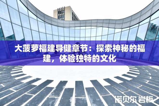 大菠萝福建导健章节：探索神秘的福建，体验独特的文化
