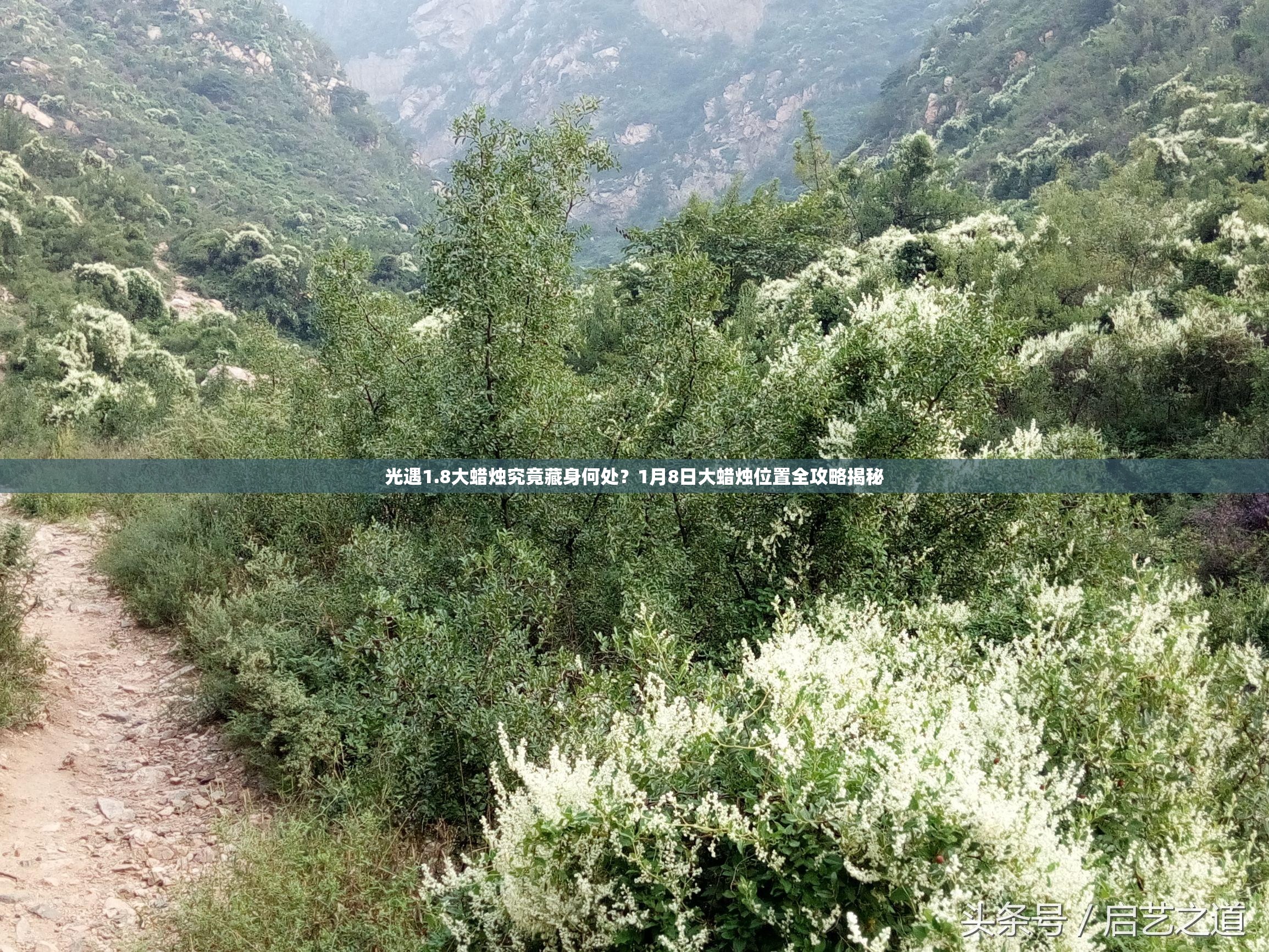 光遇1.8大蜡烛究竟藏身何处？1月8日大蜡烛位置全攻略揭秘
