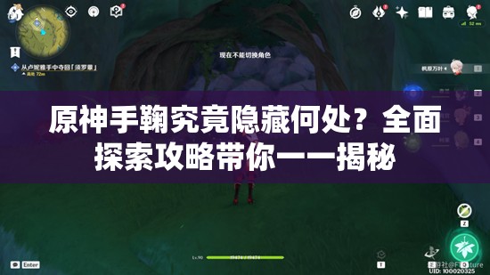 原神手鞠究竟隐藏何处？全面探索攻略带你一一揭秘