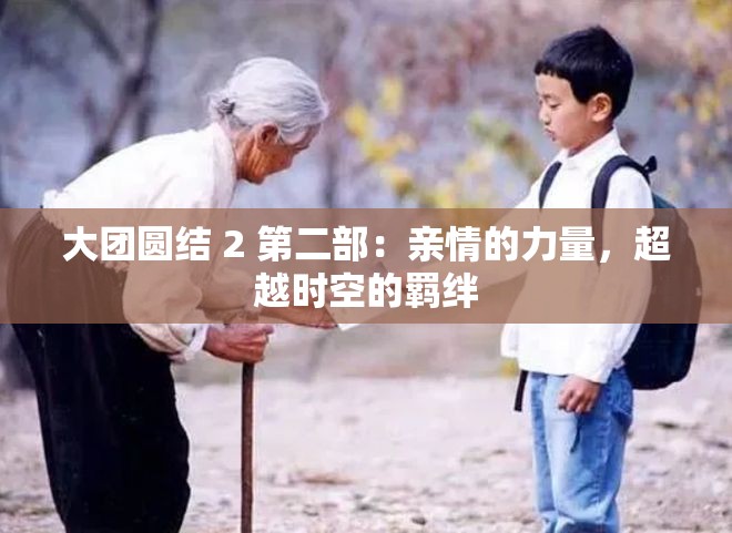 大团圆结 2 第二部：亲情的力量，超越时空的羁绊
