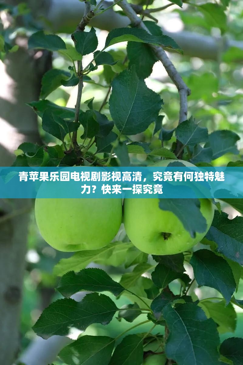 青苹果乐园电视剧影视高清，究竟有何独特魅力？快来一探究竟