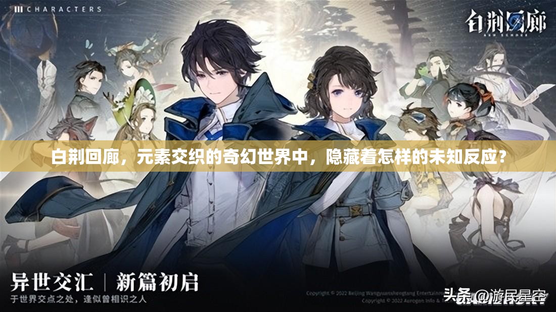 白荆回廊，元素交织的奇幻世界中，隐藏着怎样的未知反应？
