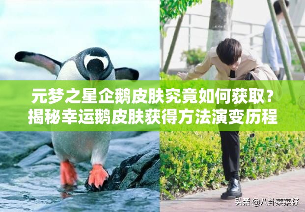 元梦之星企鹅皮肤究竟如何获取？揭秘幸运鹅皮肤获得方法演变历程
