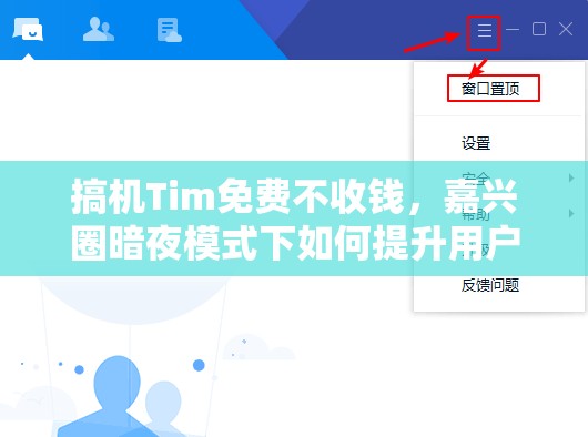 搞机Tim免费不收钱，嘉兴圈暗夜模式下如何提升用户体验与设备性能？