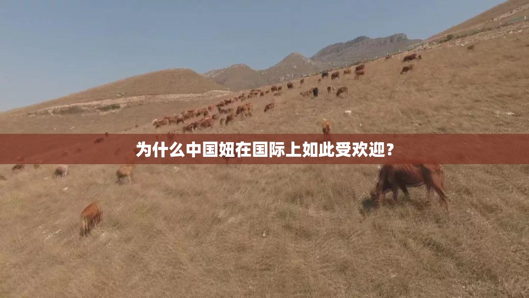 为什么中国妞在国际上如此受欢迎？