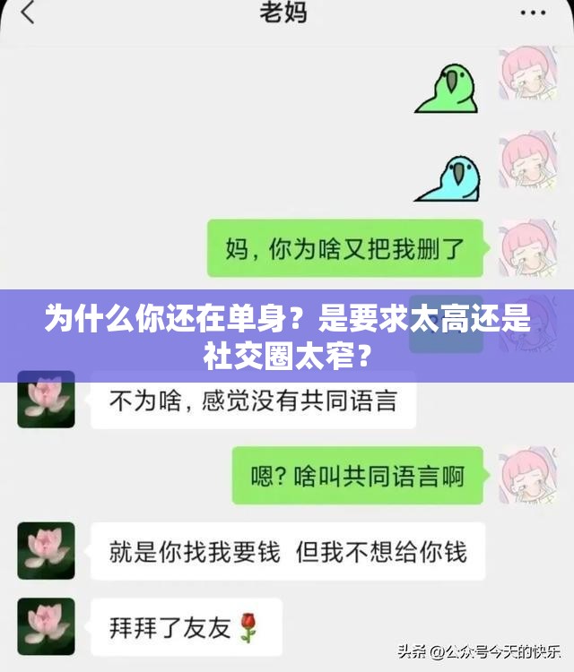 为什么你还在单身？是要求太高还是社交圈太窄？