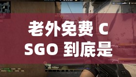 老外免费 CSGO 到底是怎么回事？为何如此受关注？快来一探究竟