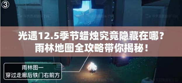 光遇12.5季节蜡烛究竟隐藏在哪？雨林地图全攻略带你揭秘！
