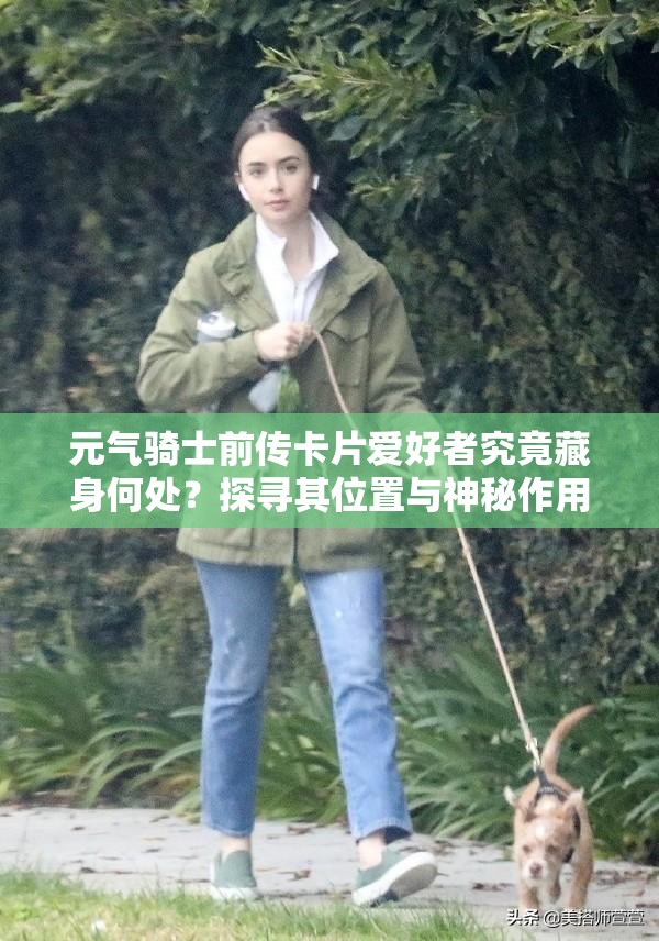 元气骑士前传卡片爱好者究竟藏身何处？探寻其位置与神秘作用