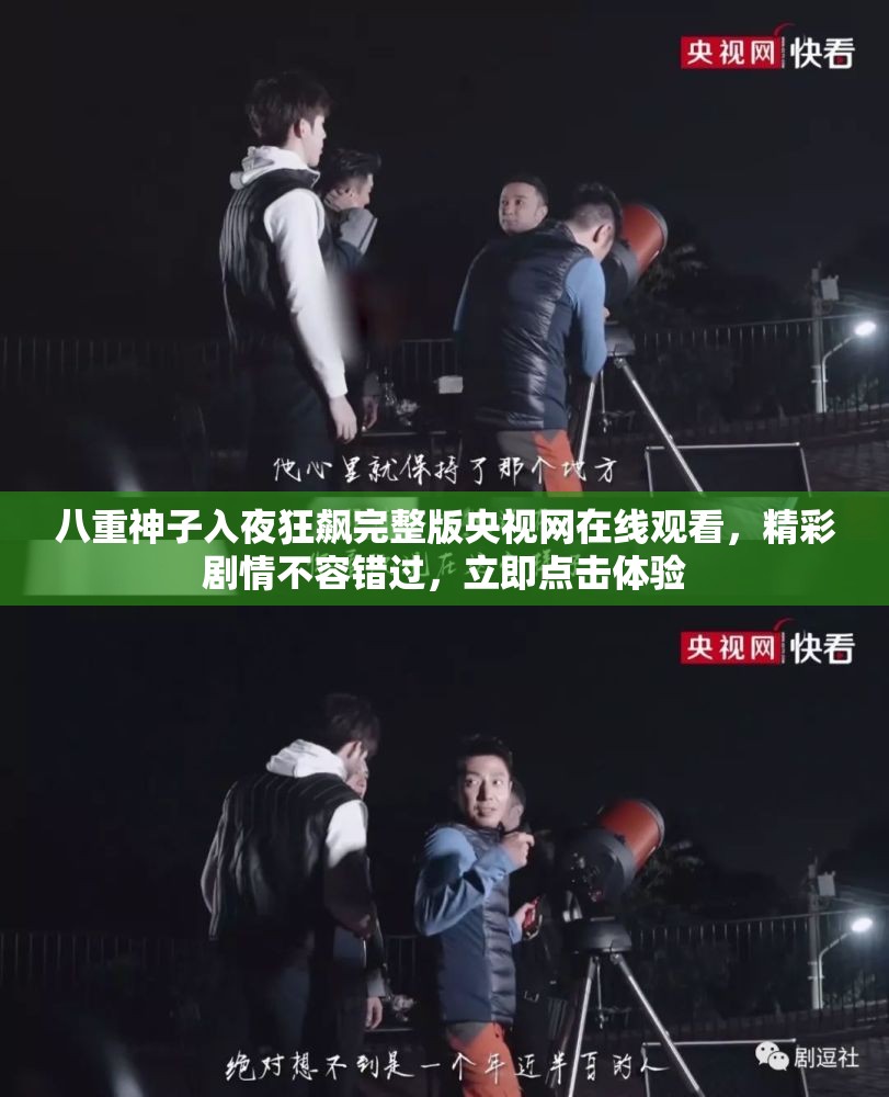 八重神子入夜狂飙完整版央视网在线观看，精彩剧情不容错过，立即点击体验