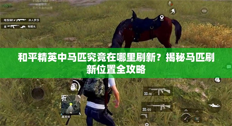 和平精英中马匹究竟在哪里刷新？揭秘马匹刷新位置全攻略