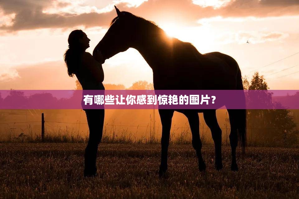 有哪些让你感到惊艳的图片？