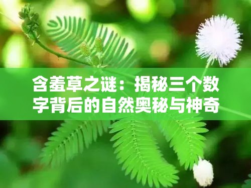 含羞草之谜：揭秘三个数字背后的自然奥秘与神奇现象