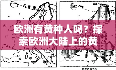 欧洲有黄种人吗？探索欧洲大陆上的黄种人分布与文化影响