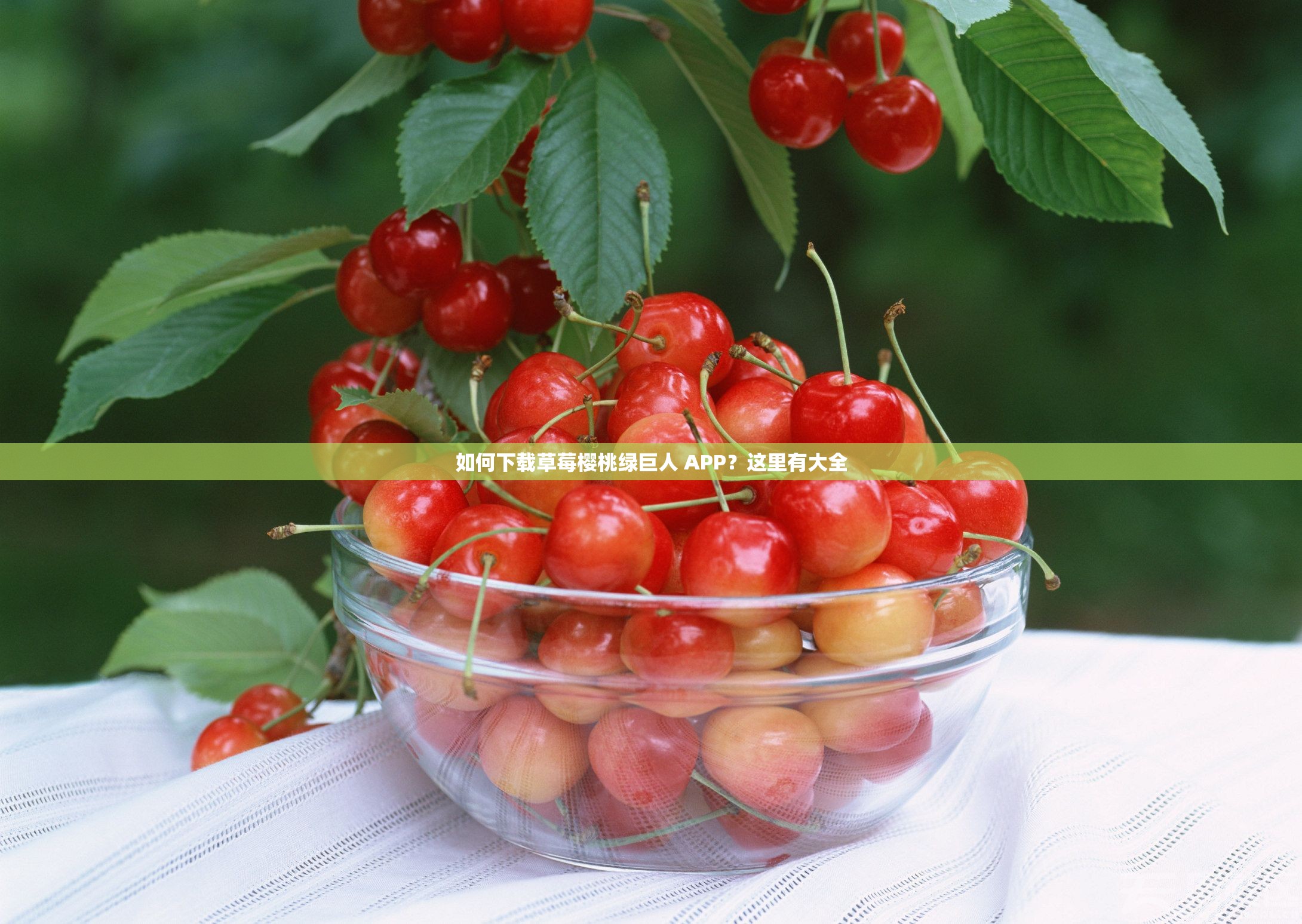 如何下载草莓樱桃绿巨人 APP？这里有大全