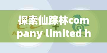 探索仙踪林company limited heishuai的独特魅力：揭秘其创新业务模式与市场影响力