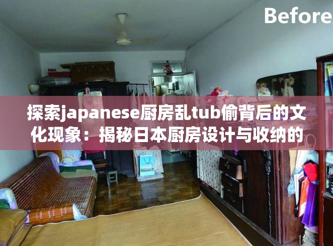 探索japanese厨房乱tub偷背后的文化现象：揭秘日本厨房设计与收纳的独特魅力