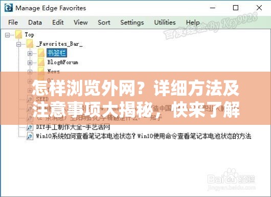 怎样浏览外网？详细方法及注意事项大揭秘，快来了解一下