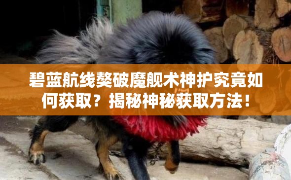 碧蓝航线獒破魔舰术神护究竟如何获取？揭秘神秘获取方法！