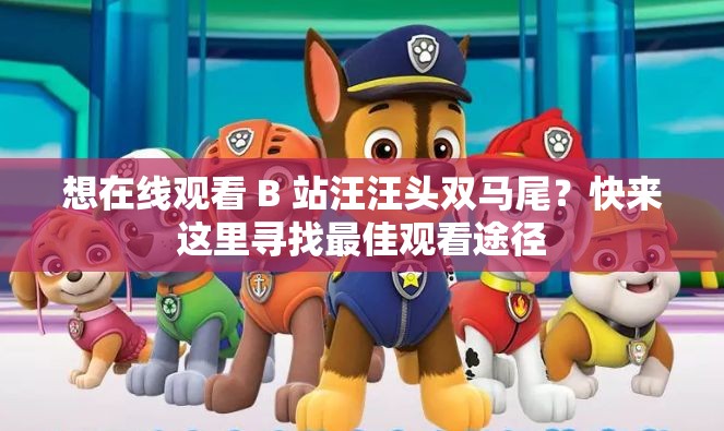 想在线观看 B 站汪汪头双马尾？快来这里寻找最佳观看途径