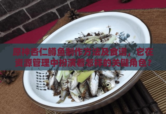 原神杏仁鳟鱼制作方法及食谱，它在资源管理中扮演着怎样的关键角色？