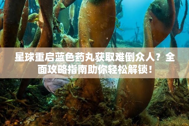 星球重启蓝色药丸获取难倒众人？全面攻略指南助你轻松解锁！