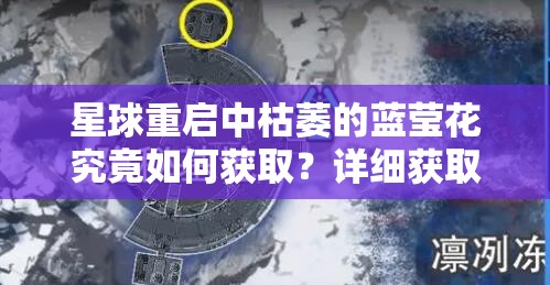 星球重启中枯萎的蓝莹花究竟如何获取？详细获取方法大揭秘