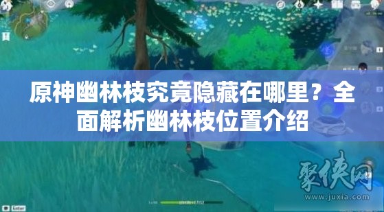原神幽林枝究竟隐藏在哪里？全面解析幽林枝位置介绍